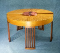 chameleon_desk_4_x200.jpg (8308 bytes)