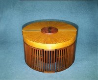 chameleon_desk_with_extras_5.jpg (39927 bytes)