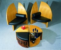 chameleon_low_table_with_Vivettes_x200.jpg (9202 bytes)