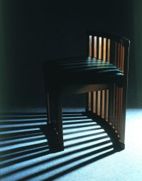 chameleon_side_chair_2_200x.jpg (9542 bytes)