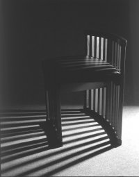 chameleon_side_chair_mono_200x.jpg (7459 bytes)